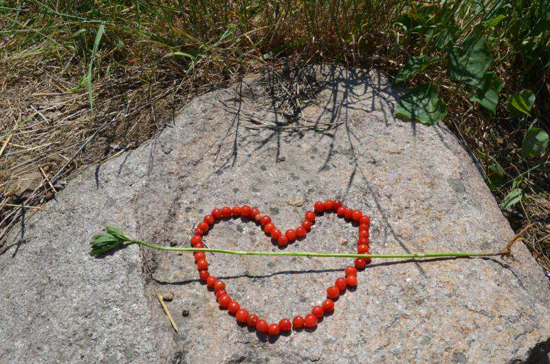 沃富新能源---沃富大聲的對沃富家人說：愛你們！